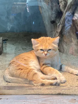 神戸どうぶつ王国に投稿された画像（2023/3/29）