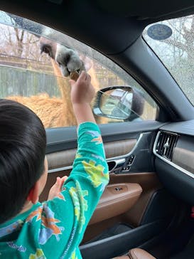 那須サファリパークに投稿された画像（2023/3/29）