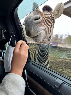 那須サファリパークに投稿された画像（2023/3/29）