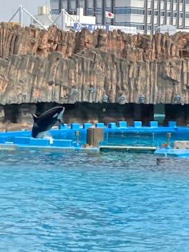 名古屋港水族館に投稿された画像（2023/3/29）