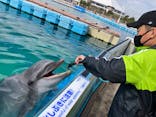 横浜・八景島シーパラダイスに投稿された画像（2023/3/29）