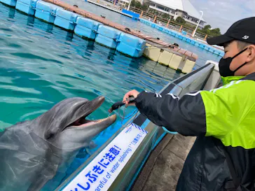 横浜・八景島シーパラダイスに投稿された画像（2023/3/29）