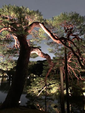 六義園に投稿された画像（2023/3/29）