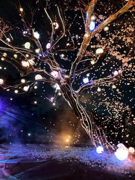 西武園ゆうえんちに投稿された画像（2023/3/29）