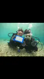 武藤潜水に投稿された画像（2023/3/29）