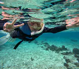 武藤潜水に投稿された画像（2023/3/29）