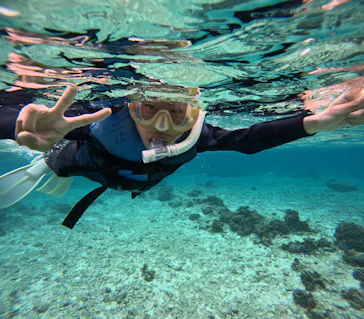 武藤潜水に投稿された画像（2023/3/29）