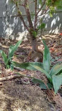 神戸どうぶつ王国に投稿された画像（2023/3/29）