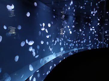 サンシャイン水族館に投稿された画像（2023/3/29）