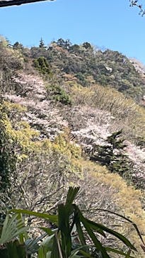 日帰り温泉湯の里おかだに投稿された画像（2023/3/29）