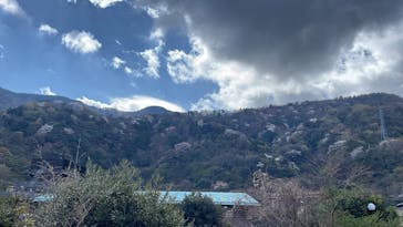 日帰り温泉湯の里おかだに投稿された画像（2023/3/29）