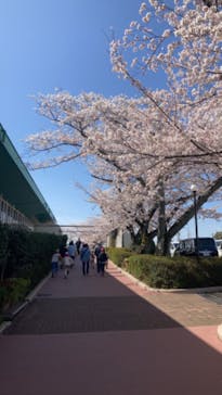 鈴鹿サーキットに投稿された画像（2023/3/29）