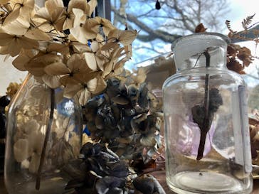 星の王子さまミュージアム 箱根サン=テグジュペリに投稿された画像（2023/3/29）