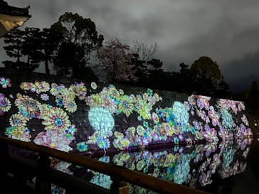 『NAKED FLOWERS 2023 桜 世界遺産・二条城』に投稿された画像（2023/3/29）