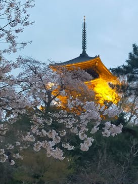 三溪園に投稿された画像（2023/3/29）