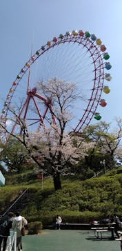 西武園ゆうえんちに投稿された画像（2023/3/29）