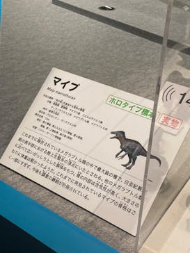 特別展「恐竜博2023」に投稿された画像（2023/3/29）