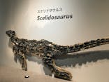特別展「恐竜博2023」に投稿された画像（2023/3/29）
