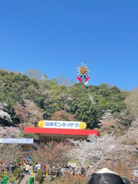 日本モンキーパークに投稿された画像（2023/3/29）