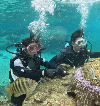 武藤潜水に投稿された画像（2023/3/29）