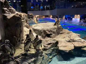 すみだ水族館に投稿された画像（2023/3/29）