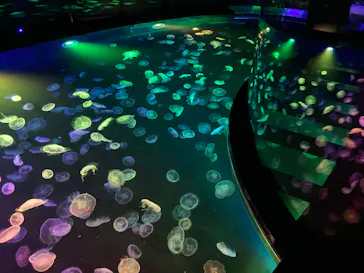 すみだ水族館に投稿された画像（2023/3/29）