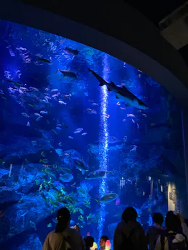 すみだ水族館に投稿された画像（2023/3/29）