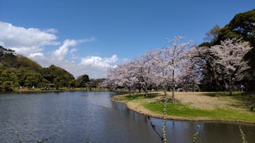 三溪園に投稿された画像（2023/3/29）