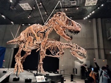 特別展「恐竜博2023」に投稿された画像（2023/3/29）