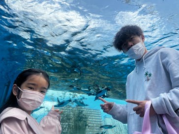 サンシャイン水族館に投稿された画像（2023/3/29）