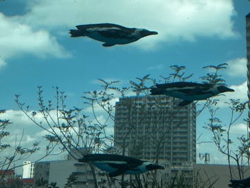 サンシャイン水族館に投稿された画像（2023/3/29）