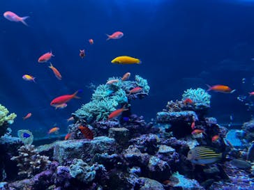 サンシャイン水族館に投稿された画像（2023/3/29）