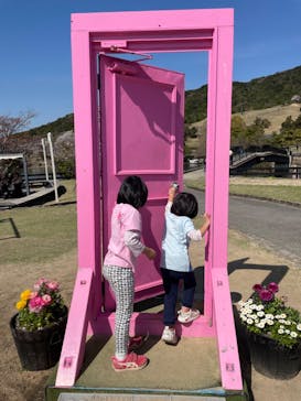 淡路ファームパーク イングランドの丘に投稿された画像（2023/3/29）