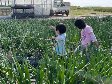 淡路ファームパーク イングランドの丘に投稿された画像（2023/3/29）