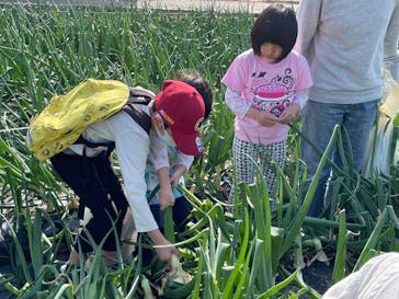 淡路ファームパーク イングランドの丘に投稿された画像（2023/3/29）