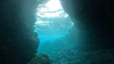 DIVING-SHOP SUNSに投稿された画像（2023/3/29）