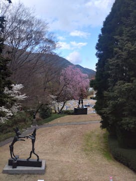 彫刻の森美術館に投稿された画像（2023/3/29）