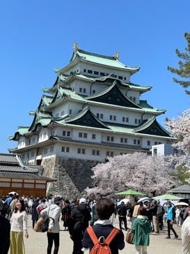 名古屋城に投稿された画像（2023/3/29）