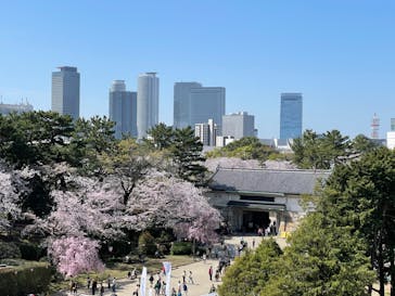 名古屋城に投稿された画像（2023/3/29）