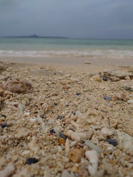 沖縄美ら海水族館に投稿された画像（2023/3/29）