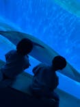九十九島水族館海きららに投稿された画像（2023/3/29）