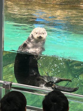 マリンワールド海の中道に投稿された画像（2023/3/29）