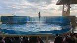 新江ノ島水族館に投稿された画像（2023/3/29）