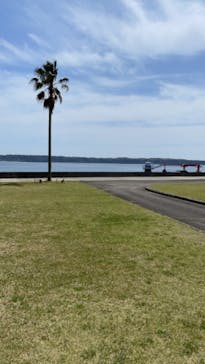 串本海中公園水族館に投稿された画像（2023/3/29）