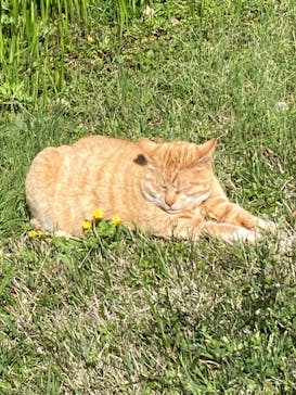 三溪園に投稿された画像（2023/3/29）