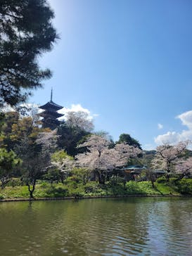 三溪園に投稿された画像（2023/3/29）