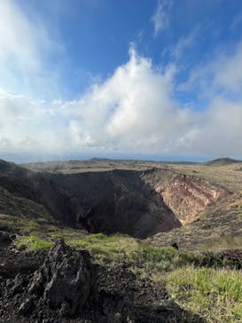 オレンジフィッシュに投稿された画像（2023/3/29）