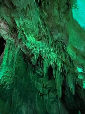 あぶくま洞に投稿された画像（2023/3/29）