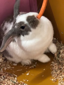 ワールド牧場に投稿された画像（2023/3/29）