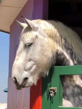 ワールド牧場に投稿された画像（2023/3/29）